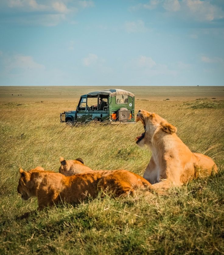 MASAI MARA REGION