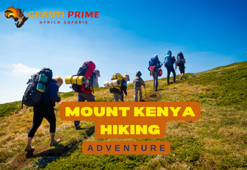 3 Days Aberdare National Park Wildlife & Waterfalls Safari