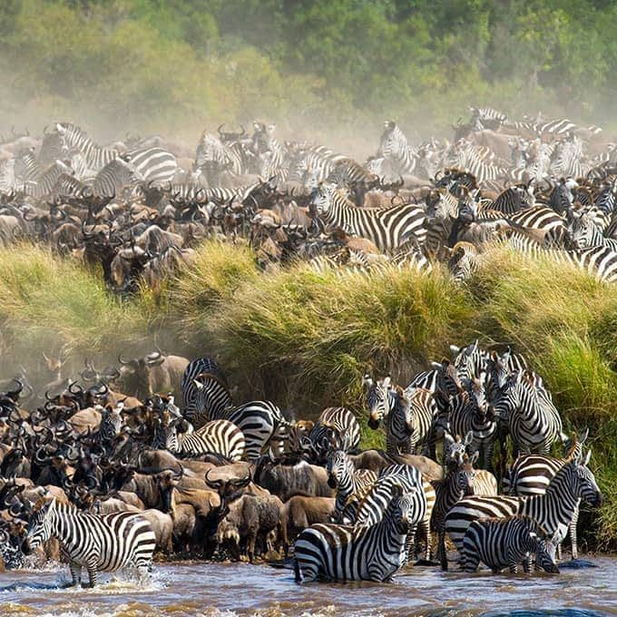 4-Day Lake Nakuru & Masai Mara Mid-Range Safari